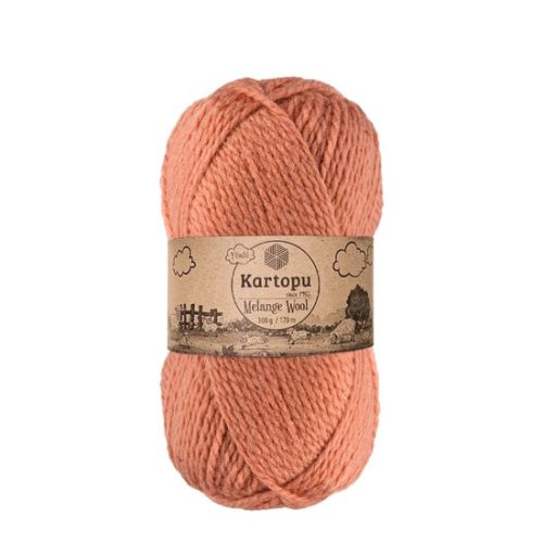 Melange Wool 100 gr - 784 lazac
